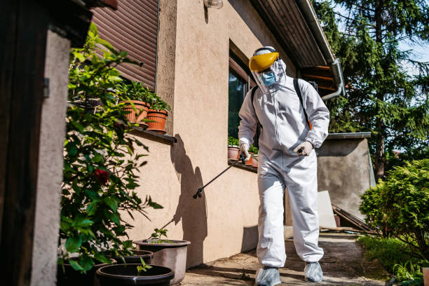 Best Emergency Pest Control  in Santee, SC