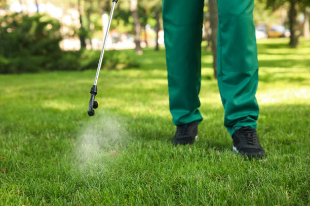 Best Affordable Pest Control Services  in Santee, SC