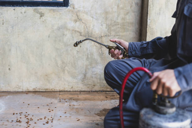 Best Pest Control Cost  in Santee, SC